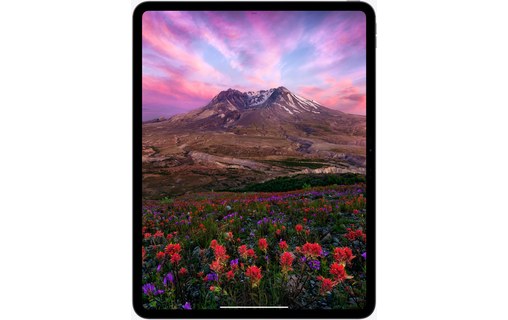 Apple iPad Pro 11" 2024 WiFi + Cellular 2 To Verre nano-texturé - Argent