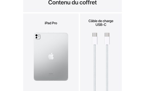 Apple iPad Pro 11" 2024 WiFi + Cellular 2 To Verre nano-texturé - Argent