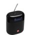 Enceinte Bluetooth JBL Tuner XL Noire
