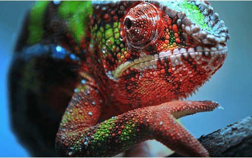 Vidéoprojecteur Home cinema Epson EH-TW7100 - 4K