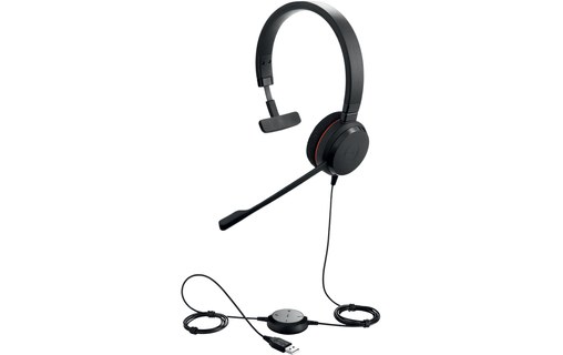 Micro-casque Jabra Evolve 20 MS Mono, Noir - USB