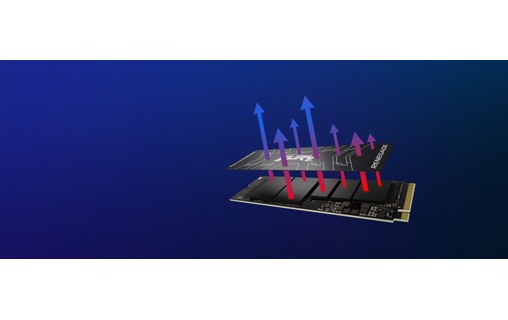 Kingston FURY Renegade 2 To - SSD M.2 NVMe PCIe 4.0 TLC