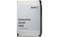 Synology Série Entreprise 20 To - Disque dur 7200 tr/min pour NAS - HAT5310-20T