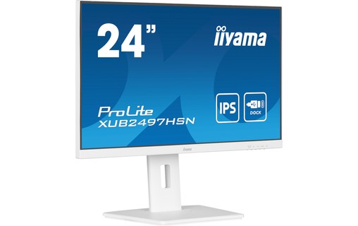 Écran 23,8" iiyama ProLite XUB2497HSN-W2