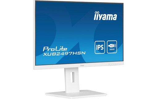 Écran 23,8" iiyama ProLite XUB2497HSN-W2
