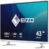 Écran 42,5" EIZO FlexScan EV4340X - 4K - Blanc - HDMI/DisplayPort/USB-C