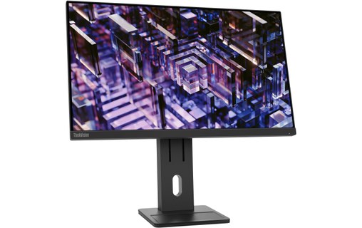 Écran 23,8" Lenovo ThinkVision E24q-30