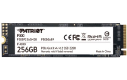 Patriot Memory P300 256 Go - SSD M.2 2280 NVMe PCIe 3.0