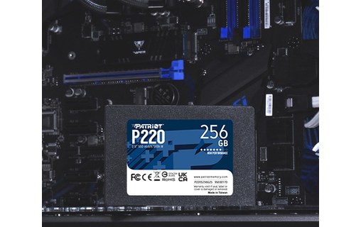 Patriot Memory P220 256 Go - SSD 2,5"