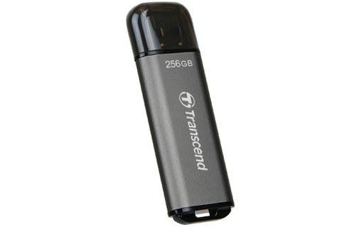 Clé USB Transcend JetFlash 920 256 Go - Gris - USB 3.2