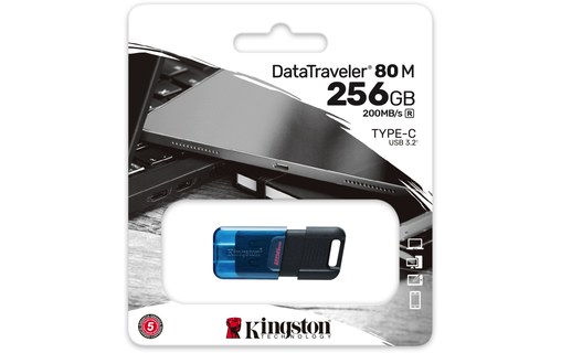 Clé USB-C Kingston DataTraveler 80 M 256 Go - Bleu, Noir - USB 3.2