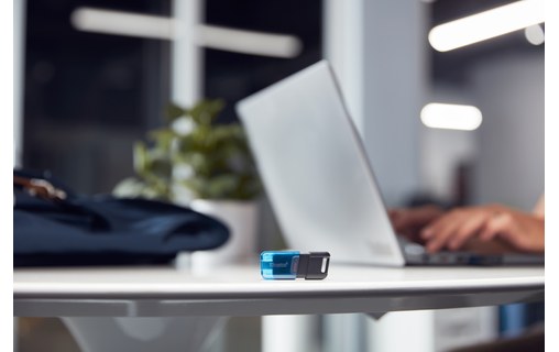 Clé USB-C Kingston DataTraveler 80 M 256 Go - Bleu, Noir - USB 3.2