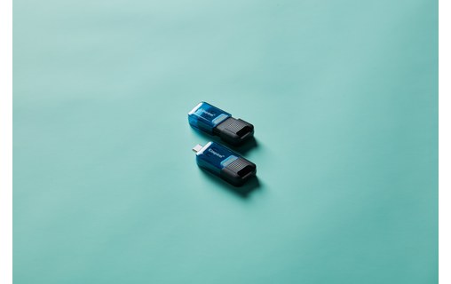 Clé USB-C Kingston DataTraveler 80 M 256 Go - Bleu, Noir - USB 3.2