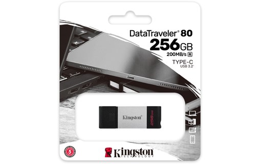 Clé USB-C Kingston DataTraveler 80 256 Go - Argent, Noir - USB 3.2