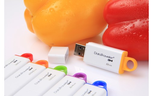 Clé USB Kingston DataTraveler G4 16 Go - Blanc, Bleu - USB 3.2