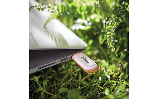 Clé USB Intenso Green Line 64 Go - Beige, Brun - USB 3.2