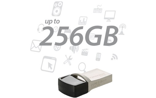 Clé USB-C et USB-A Transcend JetFlash 890 256 Go - Argent, Noir - USB 3.2