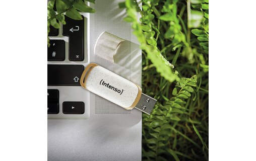 Clé USB Intenso Green Line 64 Go - Beige, Brun - USB 3.2