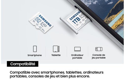 Carte microSDXC Samsung EVO Plus (2024) 128 Go avec adaptateur SD, UHS-I, V30