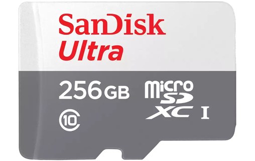 Carte microSDXC SanDisk Ultra Lite 256 Go, UHS-I