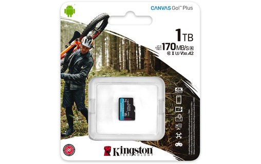 Carte microSD Kingston Canvas Go Plus 1 To, UHS-I, V30