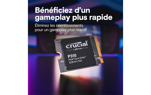 Crucial P310 2 To - SSD M.2 2230 NVMe PCIe 4.0