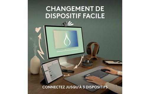 Souris sans fil Logitech Pebble 2 M350s - Graphite