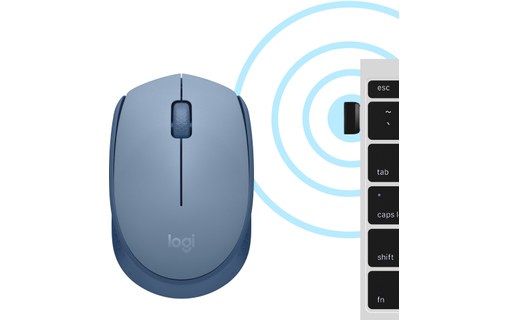 Souris sans fil Logitech M171 - Bleue nuit