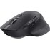 Souris sans fil Trust Ozaa+ - Noire