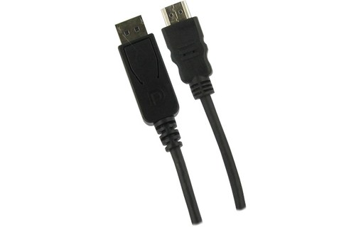 Câble DisplayPort mâle vers HDMI 2M