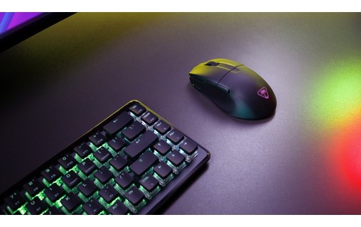 Souris Gaming sans fil Turtle Beach Pure Air - Noire