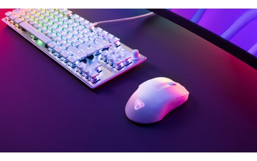 Souris Gaming sans fil Turtle Beach Pure Air - Blanche