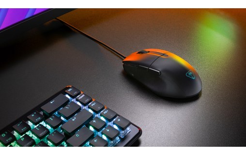 Souris Gaming Turtle Beach Pure SEL - Noire