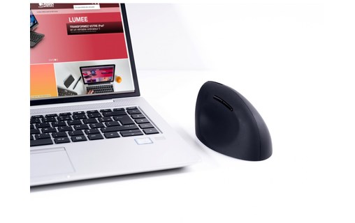 Souris sans fil Urban Factory Ergo Next - Noire - Ergonomique