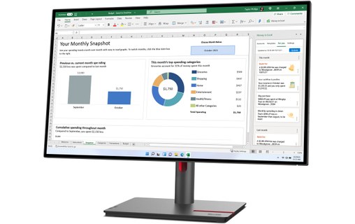 Écran 27" Lenovo ThinkVision P27h-30 - HDMI/DisplayPort/USB-C - 63A1GAT1EU