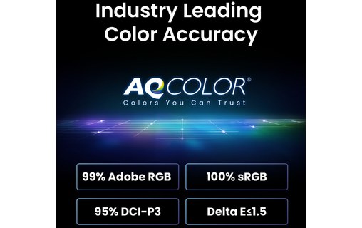 Écran 24,1" BenQ SW242Q - HDMI/DisplayPort/USB-C