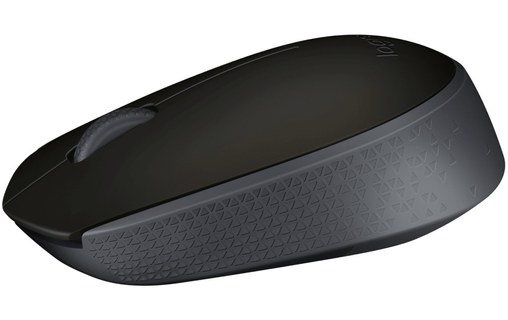 Souris sans fil Logitech M171 - Noire
