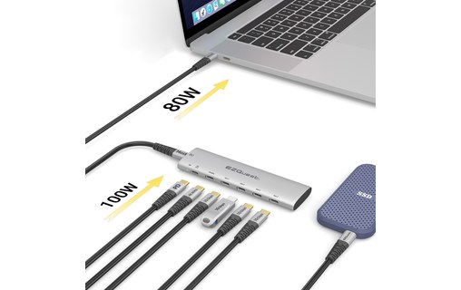 Hub USB-C 6 ports (avec port de charge 100 W) EZQuest H30006
