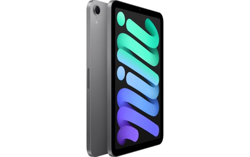 Apple iPad mini - 2024 - Wi-Fi - 128 Go - Gris sidéral