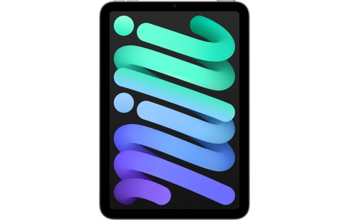 Apple iPad mini - 2024 - Wi-Fi - 128 Go - Gris sidéral