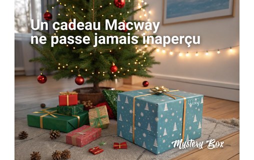 Mystery Box - Adulte