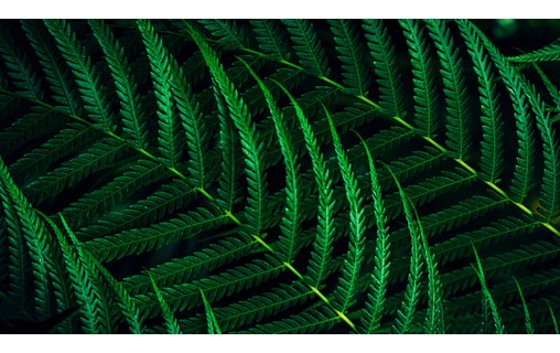 Écran 27" Philips 5000 series 27B2G5601/00 - USB-C