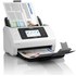 Scanner à défilement Epson WorkForce DS-800WN - WiFi, Ethernet