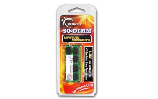 G.SKILL 4GB DDR3-1600 (F3-1600C9S-4GSL)
