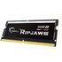 G.Skill Ripjaws F5-4800S4039A16GX1-RS module de mémoire 16 Go 1 x 16 Go DDR5 480