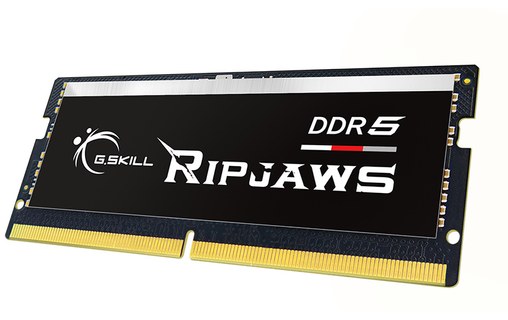 G.Skill Ripjaws F5-4800S4039A16GX1-RS module de mémoire 16 Go 1 x 16 Go DDR5 480