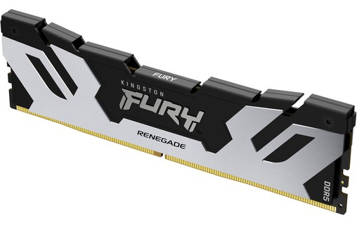 Kingston Technology FURY Renegade module de mémoire 16 Go 1 x 16 Go DDR5 6400 MH
