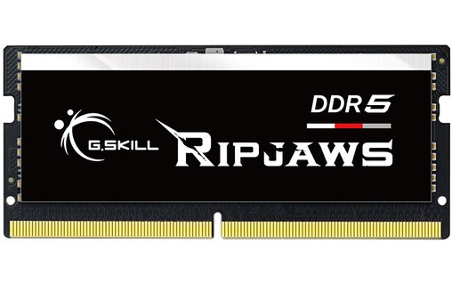 G.Skill Ripjaws F5-4800S4039A16GX1-RS module de mémoire 16 Go 1 x 16 Go DDR5 480
