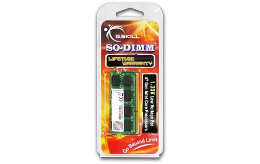 G.SKILL 4GB DDR3-1600 (F3-1600C11S-4GSL)