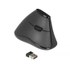 Souris sans fil Delock 12622 - Noire - Ergonomique